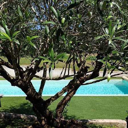 Chambre Saint Emilion - Le Clos D'Antan Les Artigues-de-Lussac Экстерьер фото